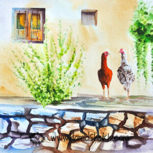 نقاشی آبرنگ مرغ و خروس